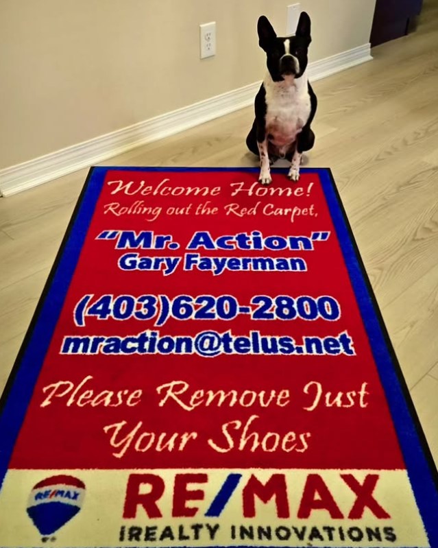 🏡 Otis the Boston Terrier Welcomes You to His Silverado Home! 🐾